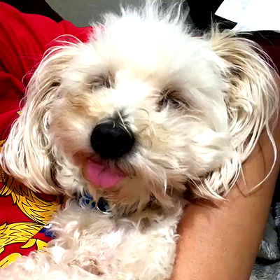 miakhalifa miakhalifa archive video