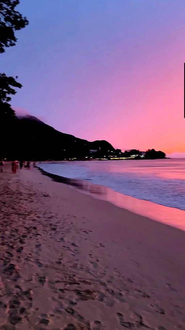 noa_mendel_ archive video preview