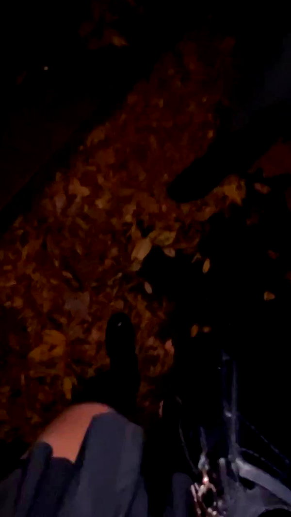 teafl0wer archive video preview