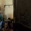 celecia Altpins Profile Picture