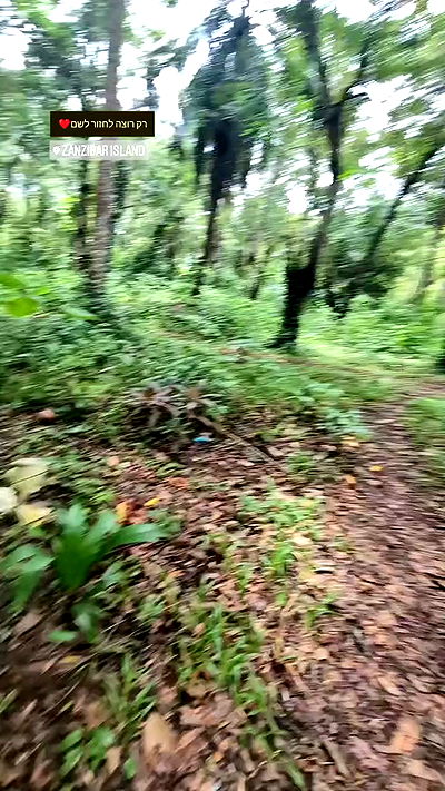 tinapavlov.sky tinapavlov.sky archive video