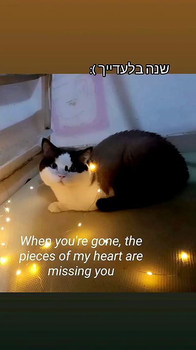 moonyyyya moonyyyya archive video