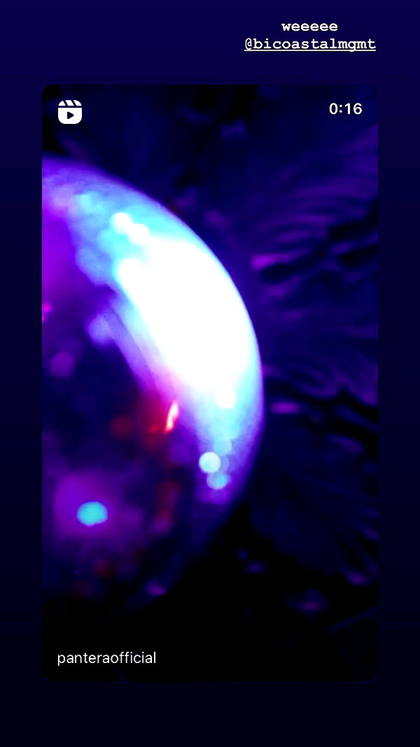 teafl0wer archive video preview