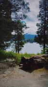 lizakovalenkoo Altpins Profile Picture
