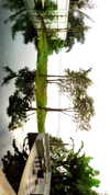 protheme Altpins Profile Picture