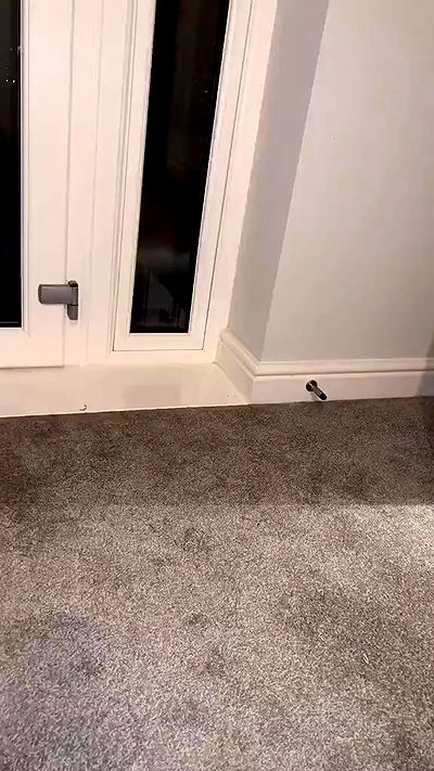 alexandramarianna alexandramarianna archive video