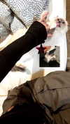 protheme Altpins Profile Picture