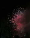 esmenguyennn Altpins Profile Picture