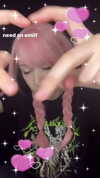 sminky Altpins Profile Picture