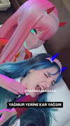 aldreann Altpins Profile Picture