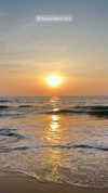 noa_mendel_ Altpins Profile Picture