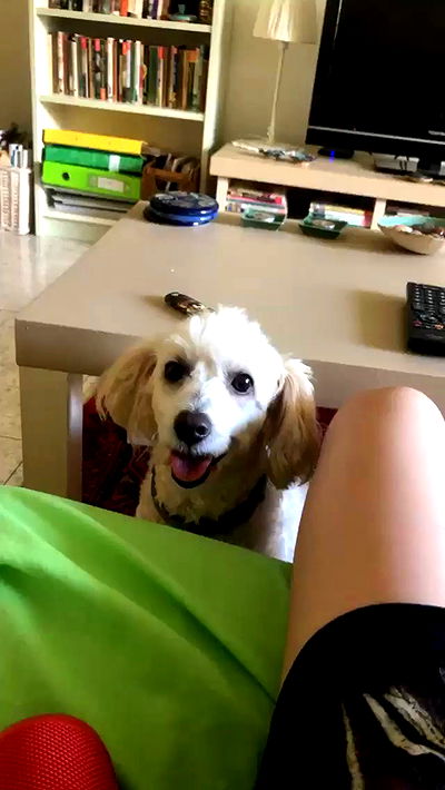 feelbetterinmysweater feelbetterinmysweater archive video