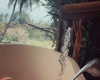 milkimind Altpins Profile Picture