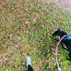 msss______britnnny Altpins Profile Picture