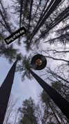 zz.eazoning Altpins Profile Picture
