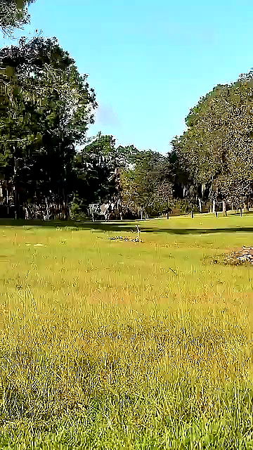 sophieraiin sophieraiin archive video