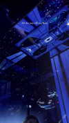 shai_korenn Altpins Profile Picture