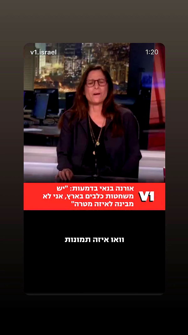 romxcohen archive video preview
