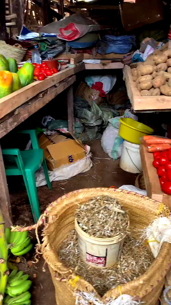 noa_mendel_ archive video preview