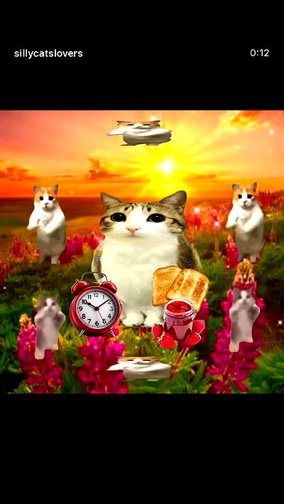 ninja.vi ninja.vi archive video