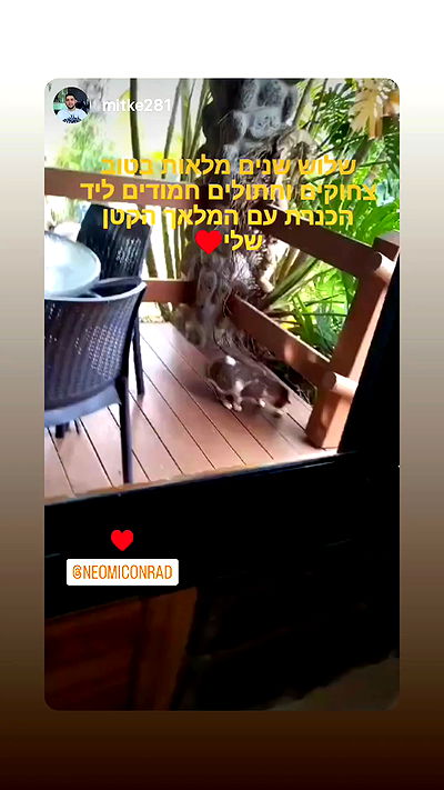 neomiconrad neomiconrad archive video