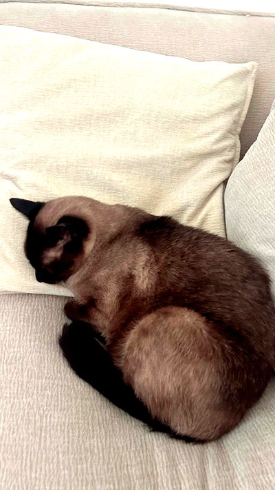 laluzone laluzone archive video