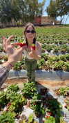 roni_ackerman Altpins Profile Picture