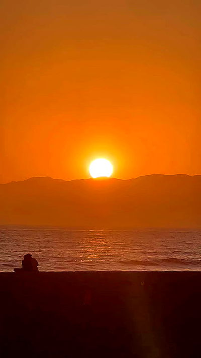 bakedsloths bakedsloths archive video