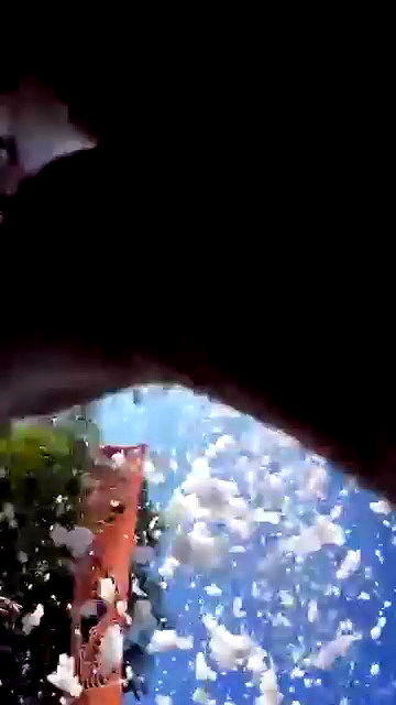 rivkavel rivkavel archive video