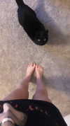 blairvira Altpins Profile Picture