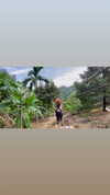 shelly_roberin Altpins Profile Picture