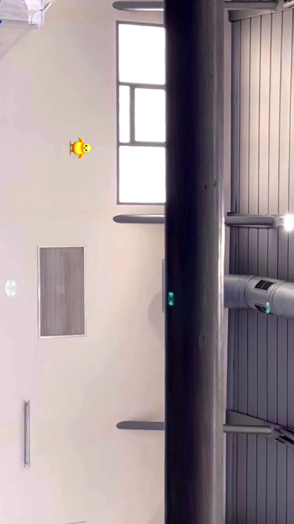 efrat_elmalich archive video preview