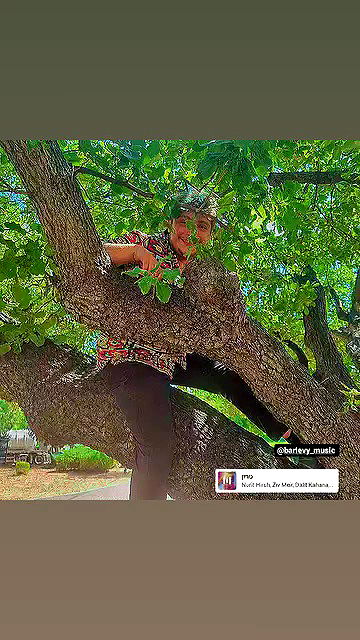 shayli_or shayli_or archive video