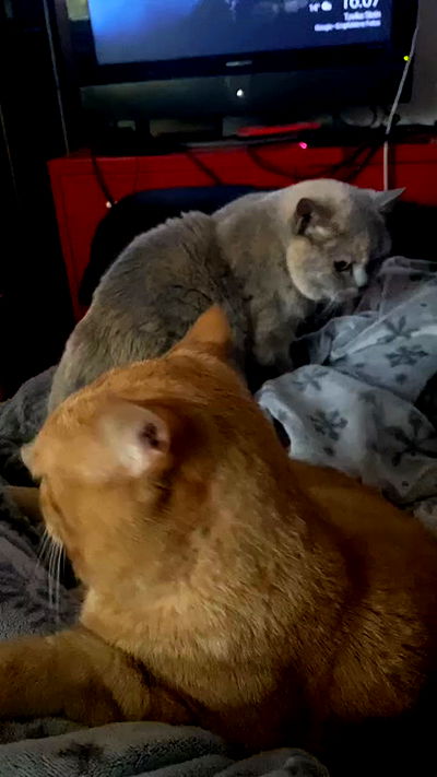 yoo.mon yoo.mon archive video