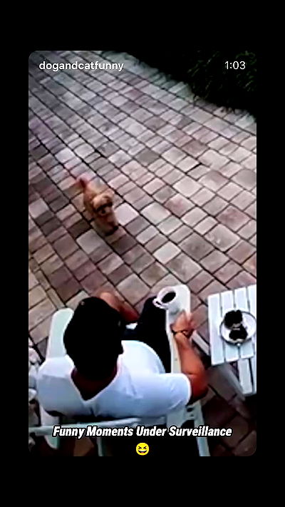 _lil_noa_ _lil_noa_ archive video