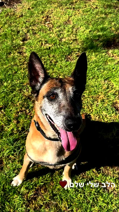 biton__adi biton__adi archive video