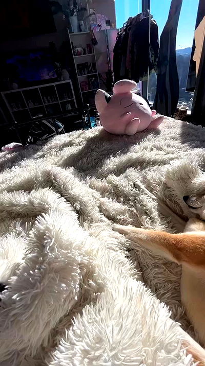 zommmbri zommmbri archive video