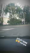 omer._shalom Altpins Profile Picture