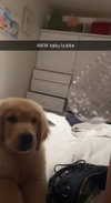 alliebear Altpins Profile Picture