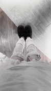 veildose Altpins Profile Picture