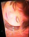 karin.ben.yair Altpins Profile Picture