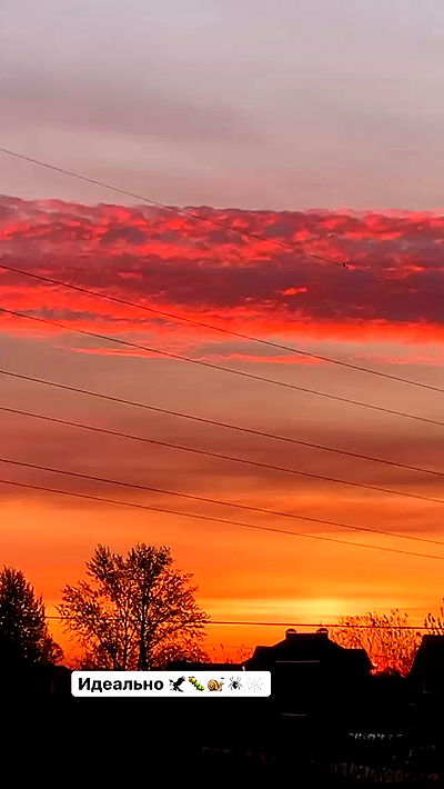 nyityam nyityam archive video