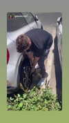 ben_zemach Altpins Profile Picture