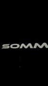 sommerray Altpins Profile Picture