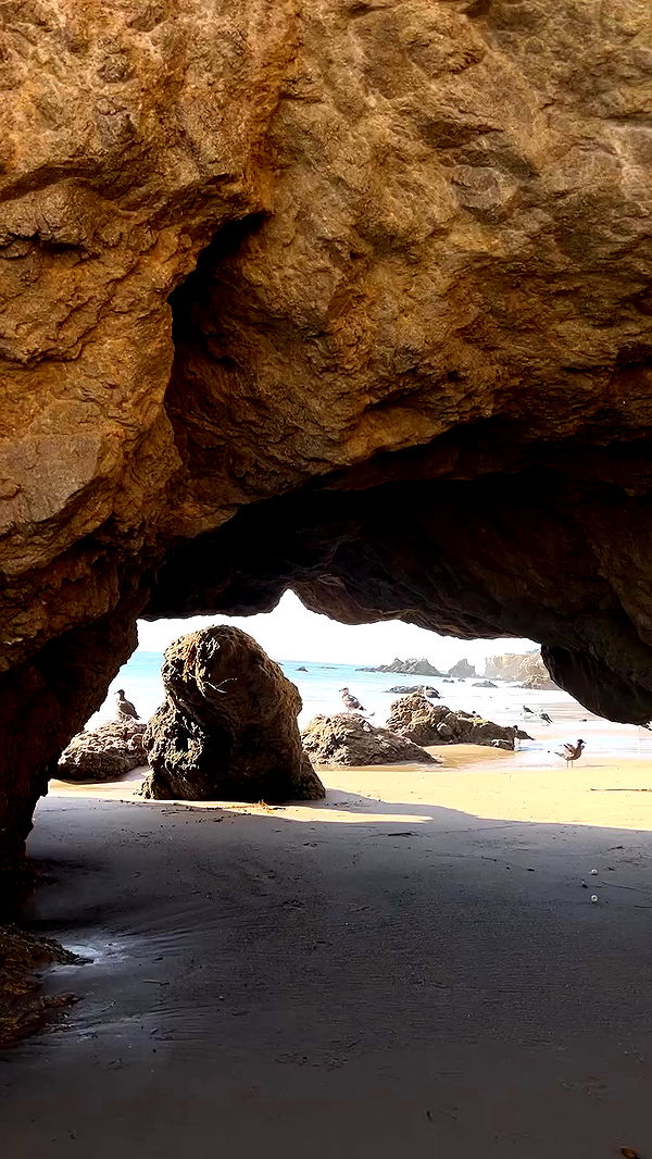 payton.r archive video preview