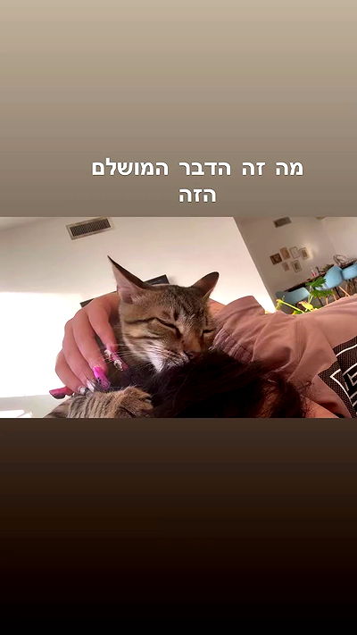 hellokittyangel666 hellokittyangel666 archive video