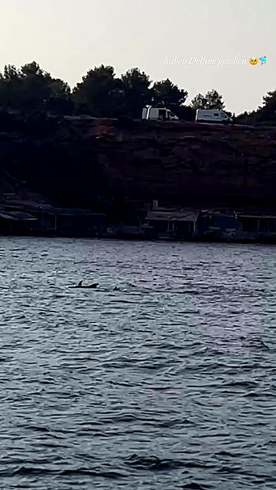 payton.r payton.r archive video