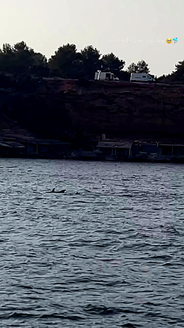 payton.r archive video preview