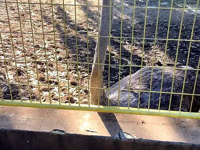 feelbetterinmysweater feelbetterinmysweater archive video