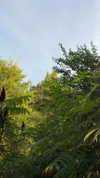 sarah.anne.dipity Altpins Profile Picture